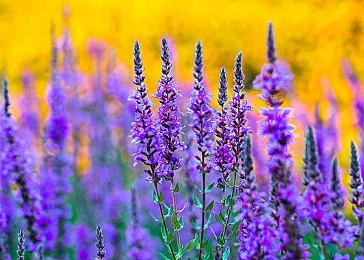 《战神：诸神黄昏》幕后视频：战斗与敌人的提升