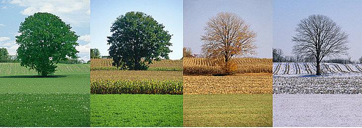 离谱！《反恐精英2》鼠标DPI过高也会导致封禁